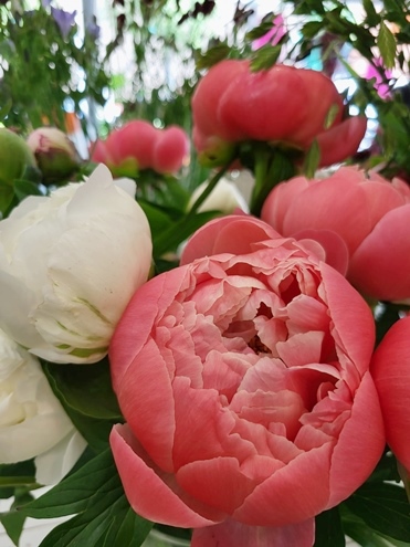 Sommer Blumen Hannover